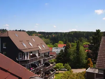 Ferienwohnung für 5 Personen (64 m²) in Braunlage 1/10