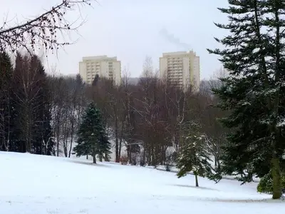 Ferienwohnung für 3 Personen (49 m²) in Braunlage 3/10