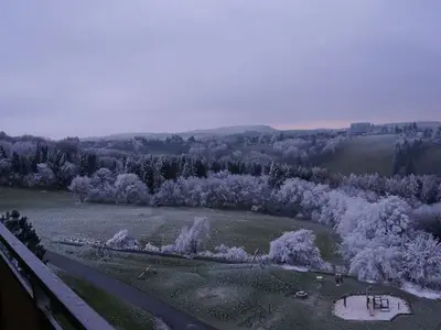Ferienwohnung für 3 Personen (49 m²) in Braunlage 5/10