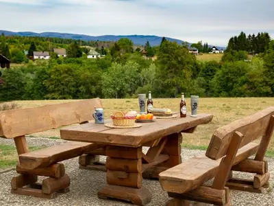 Ferienwohnung für 2 Personen (45 m²) in Braunlage 1/10