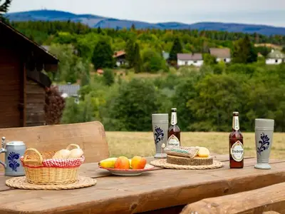Ferienwohnung für 2 Personen (45 m²) in Braunlage 8/10