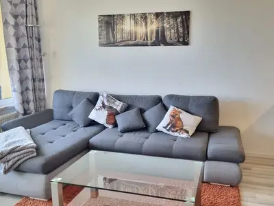 Ferienwohnung für 4 Personen (49 m²) in Braunlage 1/10
