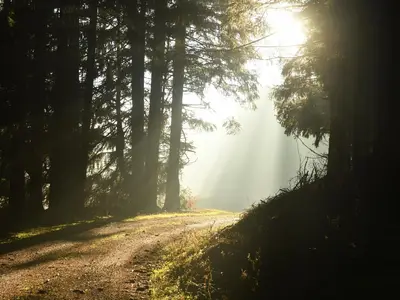 Herbst in Hohlgeiß
