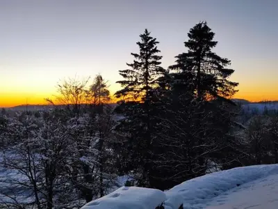 Ferienwohnung für 2 Personen (40 m²) in Braunlage 3/10