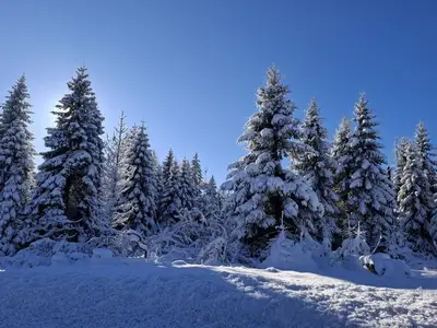 Ferienwohnung für 2 Personen (40 m²) in Braunlage 4/10