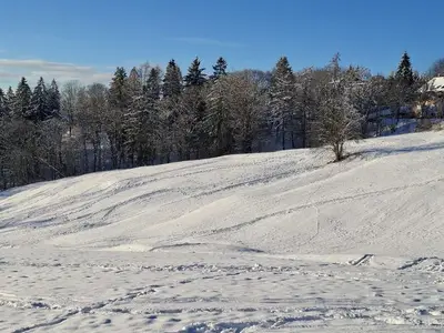 Ferienwohnung für 2 Personen (45 m²) in Braunlage 3/10