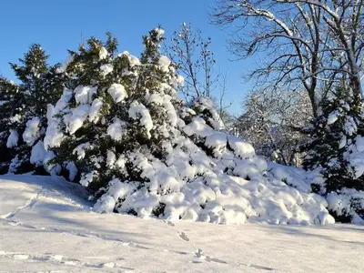 Ferienwohnung für 2 Personen (45 m²) in Braunlage 6/10