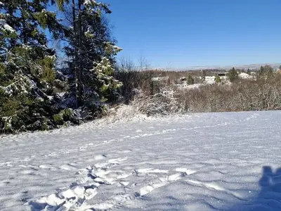 Ferienwohnung für 2 Personen (45 m²) in Braunlage 7/10