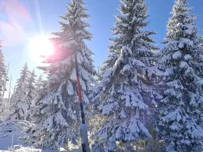 Ferienwohnung für 2 Personen (45 m²) in Braunlage 10/10