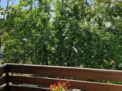 Ferienwohnung für 2 Personen (55 m²) in Braunlage 6/10