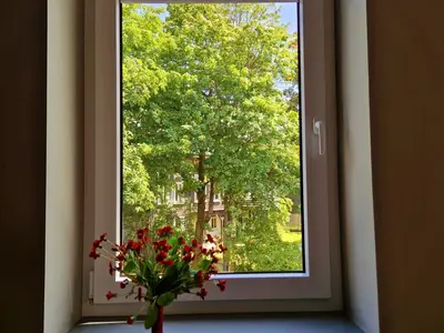 Ferienwohnung für 2 Personen (55 m²) in Braunlage 7/10