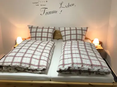 Ferienwohnung für 3 Personen (45 m²) in Braunlage 1/10