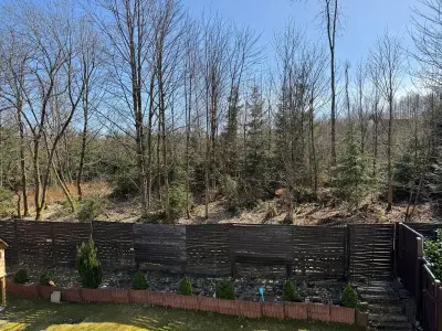 Ferienwohnung für 6 Personen (65 m²) in Braunlage 9/10