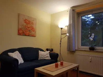 Ferienwohnung für 4 Personen (30 m²) in Braunlage 5/6