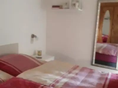 Ferienwohnung für 4 Personen (49 m²) in Braunlage 7/10
