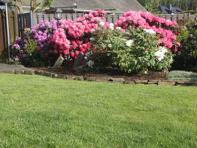 Blüten