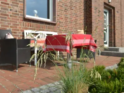 Ferienwohnung für 3 Personen (43 m²) in Breege 1/10