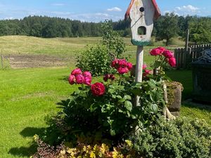 18704705-Ferienwohnung-6-Breitbrunn Am Chiemsee-300x225-2