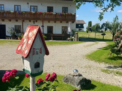 Blick zum Hof