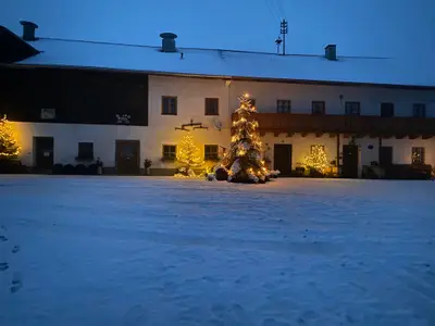 Kalbhof im Winter
