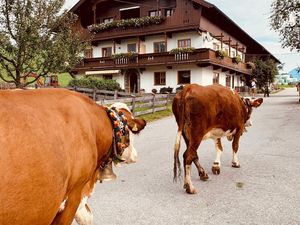 24055349-Ferienwohnung-2-Breitenbach am Inn-300x225-4