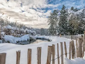 Ferienwohnung für 4 Personen (90 m²) in Breitenberg