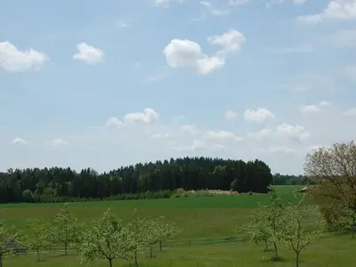 Ferienwohnung für 4 Personen (38 m²) in Breitenbrunn (Oberpfalz) 2/7