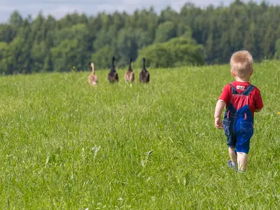 Ferienwohnung für 4 Personen in Breitenthal 6/9