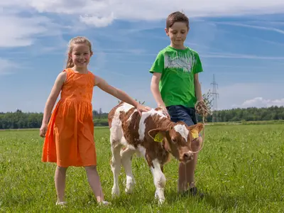 Ferienwohnung für 4 Personen in Breitenthal 7/9