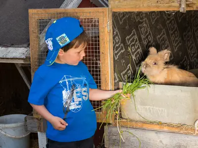 Ferienwohnung für 5 Personen in Breitenthal 7/7