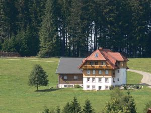 Ferienwohnung für 3 Personen (50 m&sup2;) in Breitnau