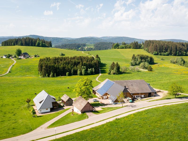 23569087-Ferienwohnung-2-Breitnau-800x600-0