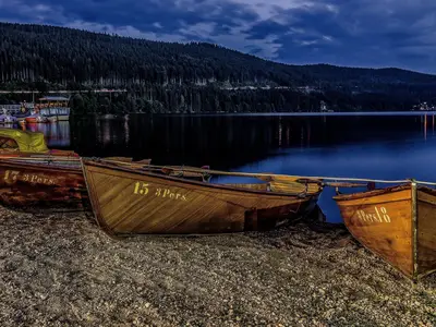 Ferienwohnung für 4 Personen (68 m²) in Breitnau 10/10