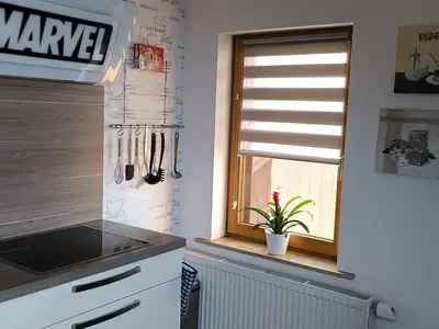 Ferienwohnung für 4 Personen (80 m²) in Breitungen (Thüringen) 5/10