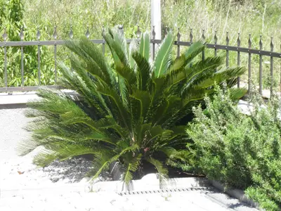 Bild 10