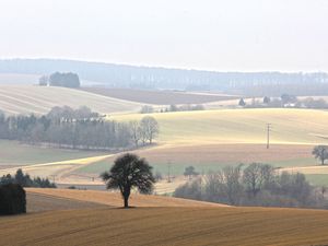 22608955-Ferienwohnung-2-Bretten-300x225-3