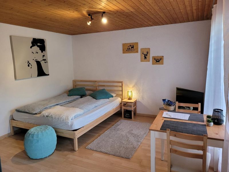 23453508-Ferienwohnung-2-Brienz Be-800x600-0