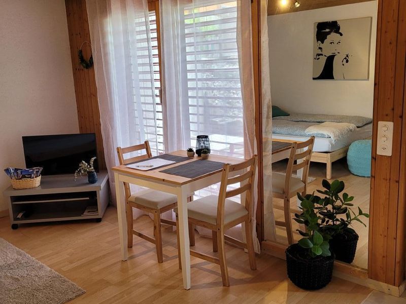 23453508-Ferienwohnung-2-Brienz Be-800x600-1