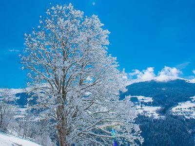 Casa Panorama, Brigels, Camartin, Aussicht