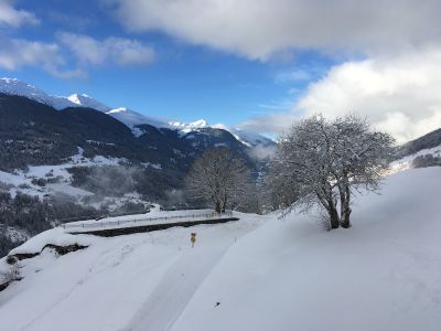 Aussicht vom Balkon