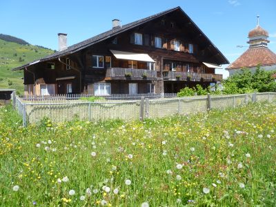 Ferienwohnung Crestas 55 - Ansicht Sommer