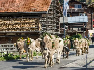 Ferienwohnung für 5 Personen in Brigels 7/10