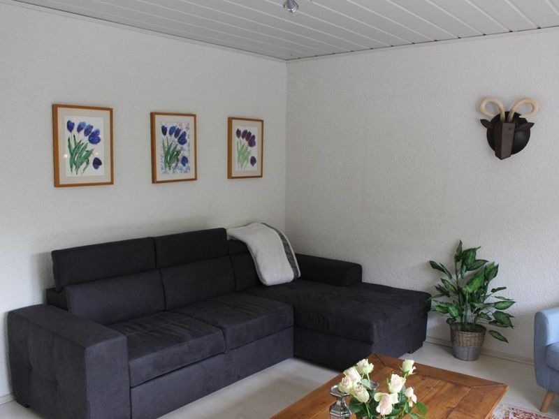 22615697-Ferienwohnung-2-Brilon-800x600-1