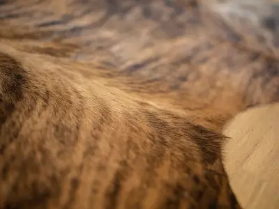 Ferienwohnung für 4 Personen (49 m²) in Brilon 9/10