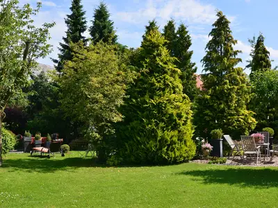 GardenSummer