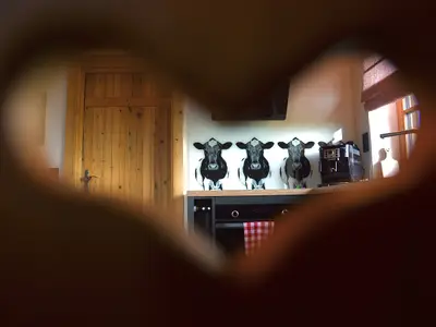 INSIDE