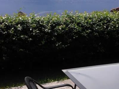 Ferienwohnung für 4 Personen (100 m²) in Brissago 9/10