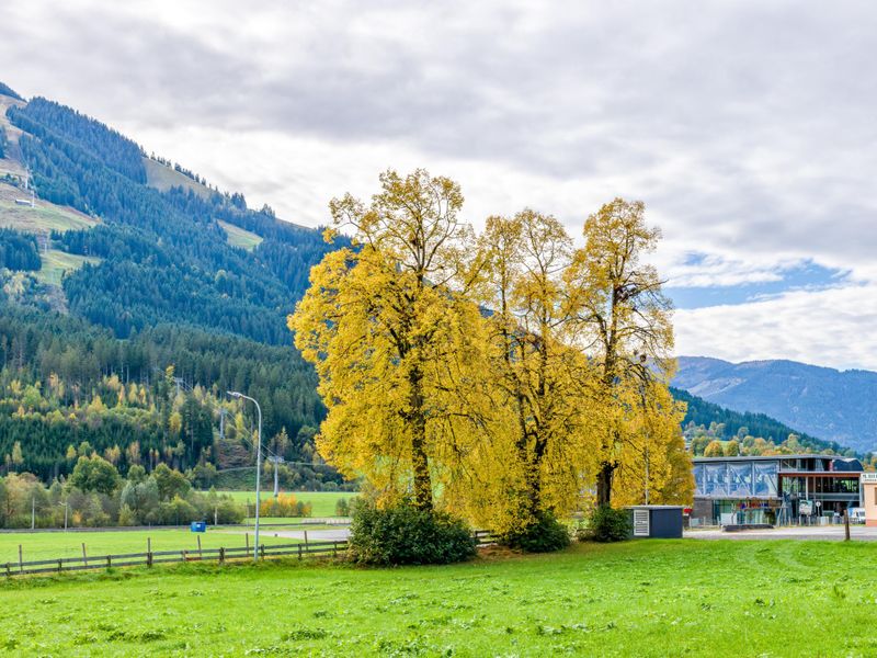 23896290-Ferienwohnung-4-Brixen Im Thale-800x600-1