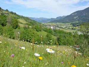 23026477-Ferienwohnung-10-Brixen Im Thale-300x225-5