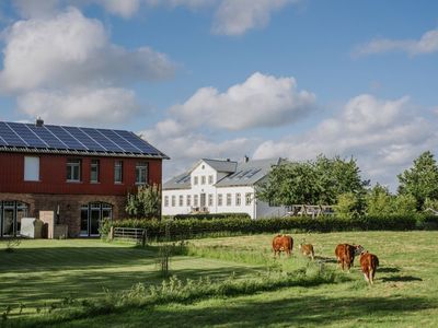 Gutshaus und Weide